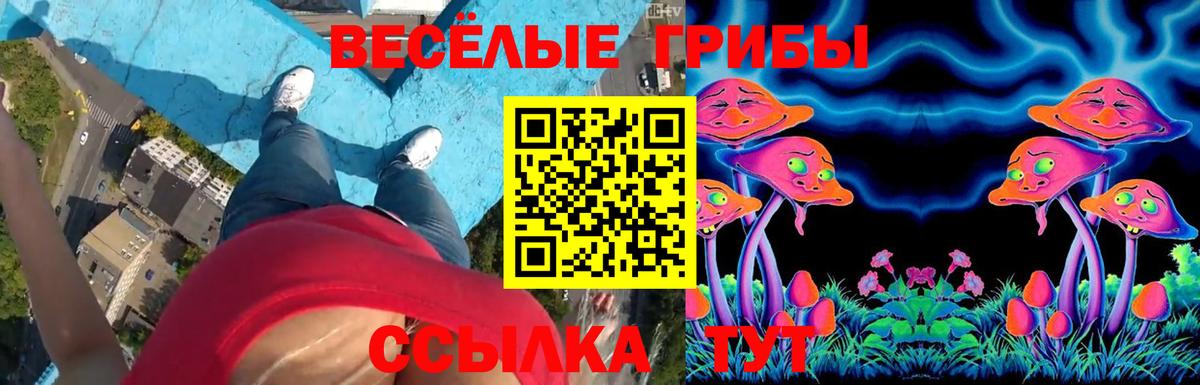 Галлюциногенные грибы мухоморы  Вход с VPN  наркотики  Ярцево 